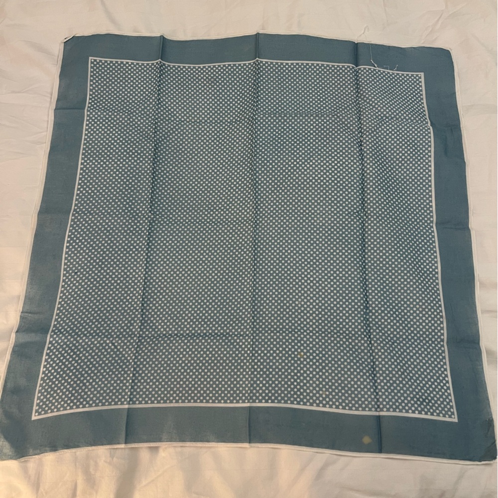 Blue and White Polka Dot Scarf